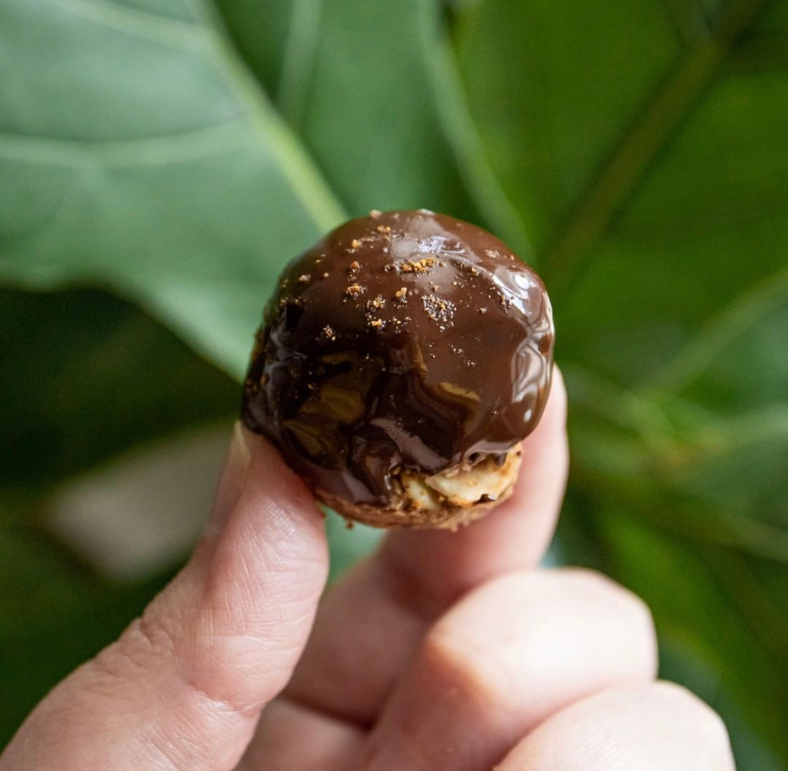 Protein Dirty Balls